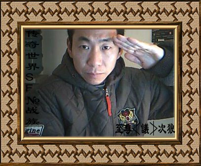 至尊≮議≯次狼